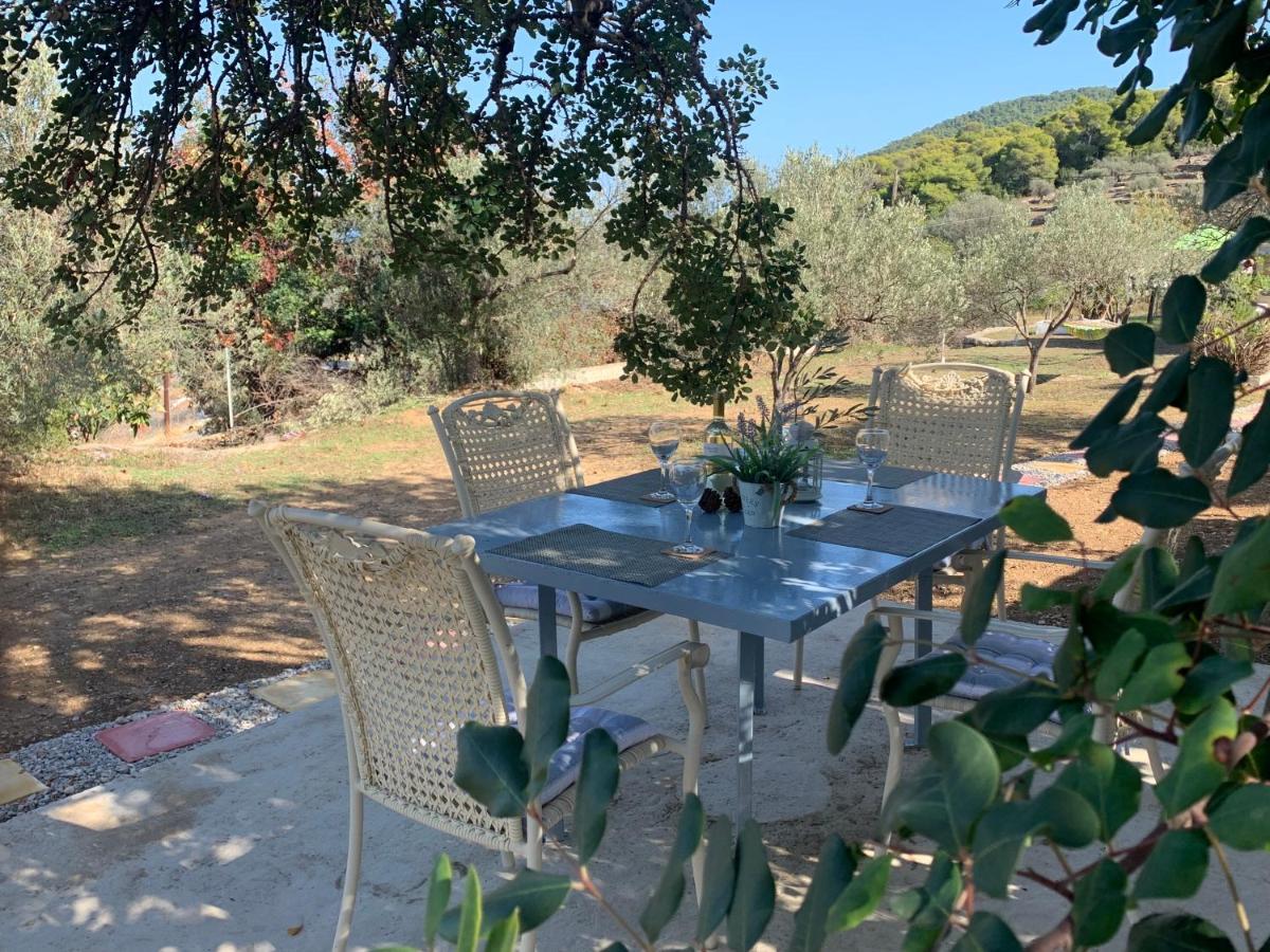 포로스타운 Olive Hill Private House 빌라 외부 사진